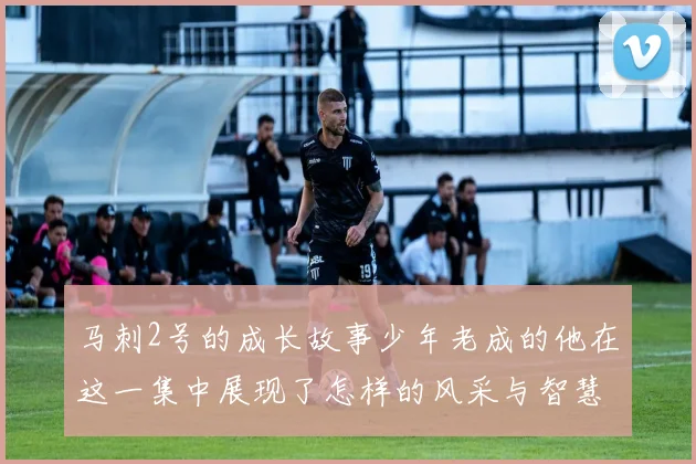 马刺2号的成长故事少年老成的他在这一集中展现了怎样的风采与智慧