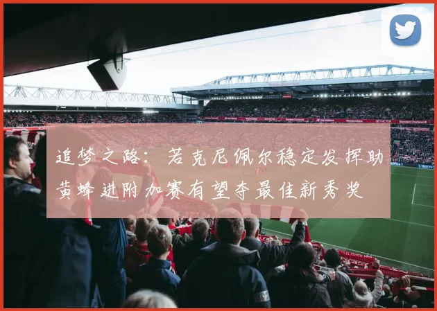追梦之路：若克尼佩尔稳定发挥助黄蜂进附加赛有望夺最佳新秀奖