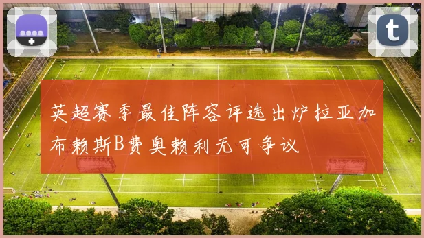 英超赛季最佳阵容评选出炉拉亚加布赖斯B费奥赖利无可争议