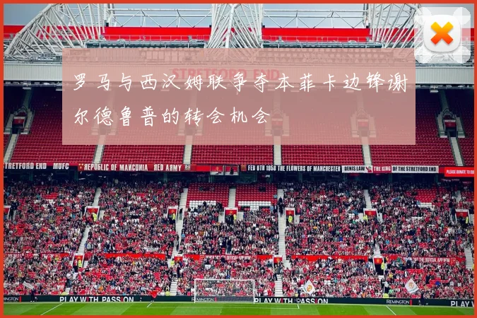 罗马与西汉姆联争夺本菲卡边锋谢尔德鲁普的转会机会